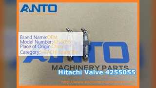 Hitachi Excavator Adjuster Grease Valve 4255055